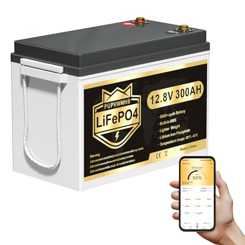12V 300Ah Lithium LiFePO4 Battery