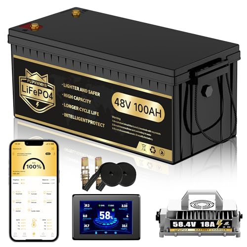 48V Lithium Battery Golf Cart