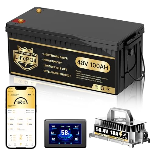 48V Lithium Battery Golf Cart